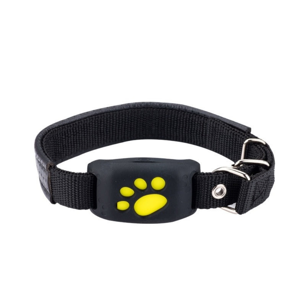 Pet GPS tracker